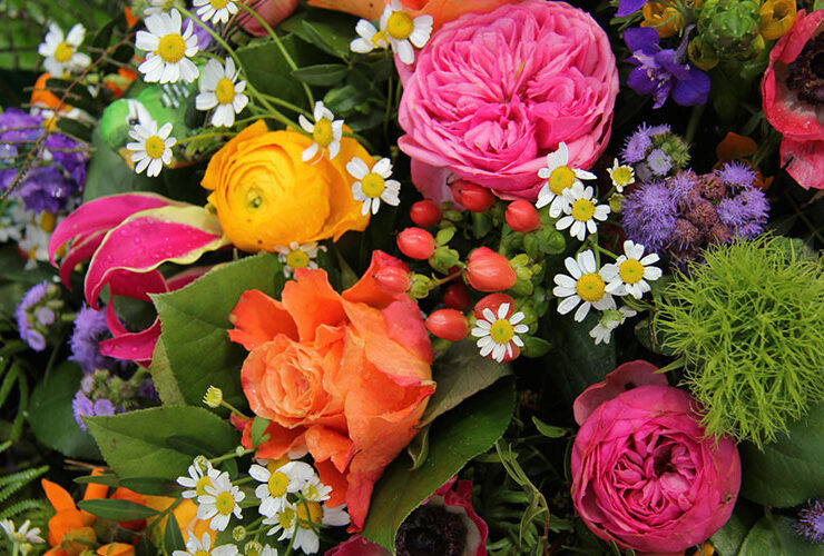 why-flowers why-flowers